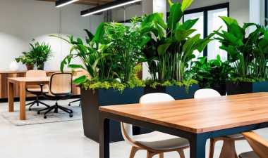 Biofilia en la Oficina: Naturaleza y bienestar 2026