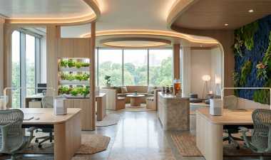 Oficinas wellness: espacios que impulsan el bienestar y la productividad